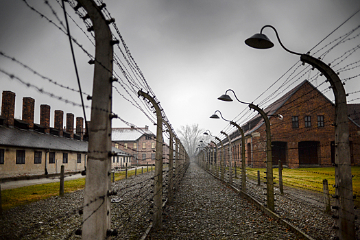 День памяти жертв Холокоста: история, определение, жертвы
