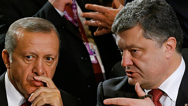 Эрдоган нацелился на Донбасс