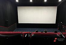В СК заинтересовались информацией о сносе кинотеатра в Купчино