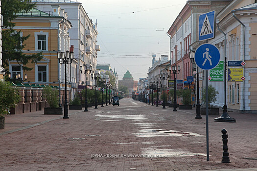 Человек с головой кота и заказные убийства: какая реклама возмутила нижегородцев в 2020 году