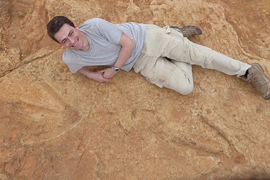 В Африке впервые нашли следы гигантских динозавров