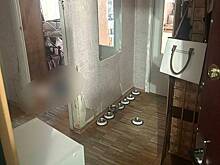 Раскрыты подробности расправы над 18-летней котоняней в Москве