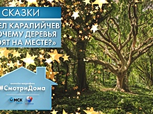 Юные омичи слышат сразу две сказки на ночь