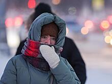 30-градусные морозы ударили по Подмосковью