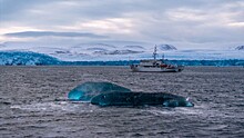 Нижегородцам покажут документальный фильм об Арктике