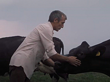 «Агрокомплекс Выселковский» совместно с BBDO Branding и Instinct провел ребрендинг и запустил имиджевую кампанию