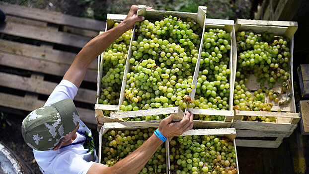 В Крыму рассказали об экспорте сельхозпродукции в 2019 году