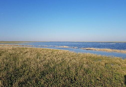 Залив лиманов в Республике Калмыкия охватит 22,9 тысяч гектаров