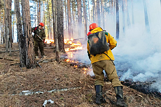 Площадь лесных пожаров в Красноярском крае сократилась до 10-летнего минимума