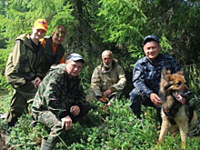 В Вологодской области поисковая группа полицейских со служебной собакой нашла в лесу блуждавшего несколько суток пенсионера