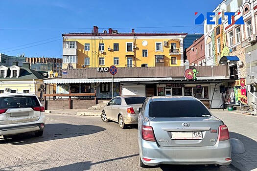 Парковочного мстителя обнаружили во Владивостоке