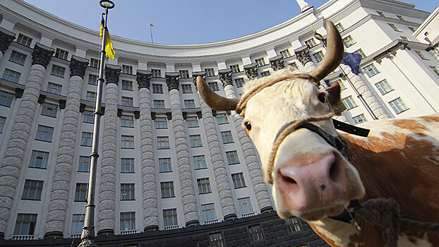 Нормы ЕС угрожают развалом целой отрасли Украины