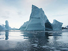 Странные существа обнаружены под шельфовым ледником Антарктиды
