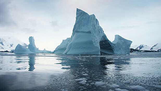 Странные существа обнаружены под шельфовым ледником Антарктиды