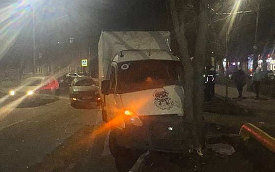 В Рязани ГАЗ-2834 влетел в дерево, пострадали 2 подростка и водитель