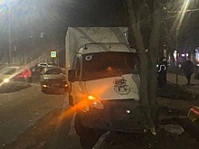 В Рязани ГАЗ-2834 влетел в дерево, пострадали 2 подростка и водитель