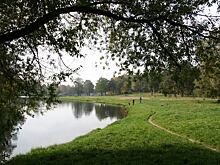 В Хорошево-Мневниках очистят от мусора береговую линию Москвы-реки