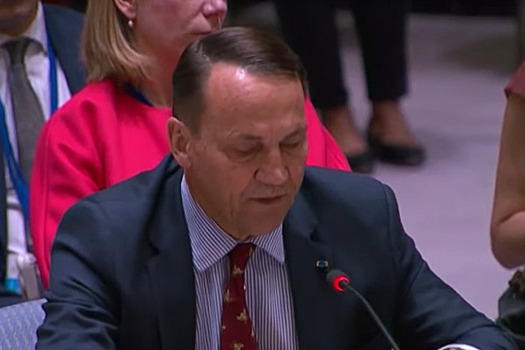 «Вас всех не будет»: Сикорский в 2014-м предрекал деятелям Майдана войну