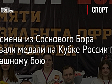 Спортсмены из Соснового Бора завоевали медали на Кубке России по рукопашному бою