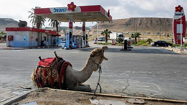 Саудиты окончательно сдались в нефтяной войне