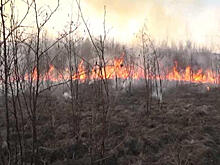 В Татищевском районе в 5 раз увеличилось количество лесных пожаров