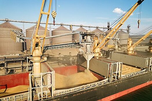 Румынская баржа с сотнями тонн пшеницы затонула в украинском порту