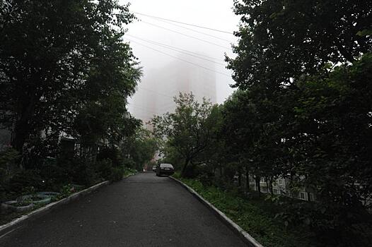 «Прямо на клумбе вырос»: приморца поразило увиденное ночью возле дома