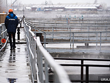 В ХМАО директора МУПа обвинили в развале предприятия. Его зарплата выше, чем у губернатора