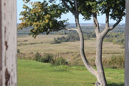 Хозяйка усадьбы Приклонских-Рукавишниковых опасается застройки склона у Оки