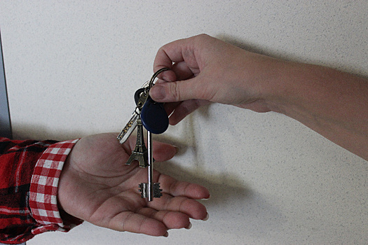 Специалисты рассказали, можно ли продать квартиру без риелтора в Приамурье