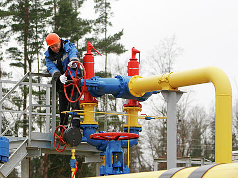 Молдавии предложили использовать навоз вместо газа