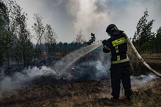 МЧС РФ: в Рязанской и Ивановской областях потушены все лесные пожары