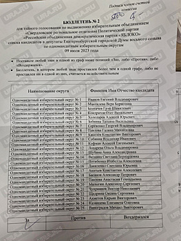 «Яблоко» поддержало миллиардера в его борьбе с мэром Екатеринбурга