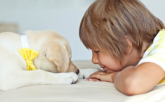 «Если ребенок часто болеет, заведите собаку»