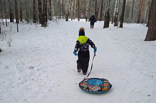 Температурные качели в Хабаровске: ожидается резкое потепление до −7°С