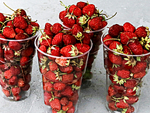 Диетолог назвала вкусный продукт для борьбы с депрессией