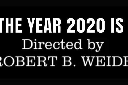 Режиссер Роберт Б. Уайде отреагировал мемом "robert b weide" на неудачи 2020 года