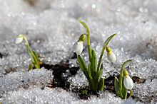 Климатическая весна придёт в Москву в середине апреля
