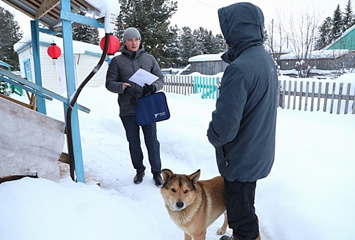 Владельцы собак в Шурышкарском районе заплатят за самовыгул. ВИДЕО