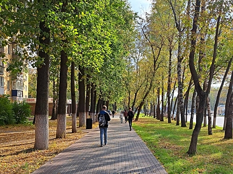 Черезовские пруды ждет обновление: рязанцы внесли предложения по благоустройству