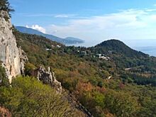 Краснодарский край и Крым лидируют в продажах по акции с кэшбэком