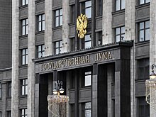 Госдума приняла закон о праве спортсменов-госслужащих получать вознаграждение за спортивную деятельность