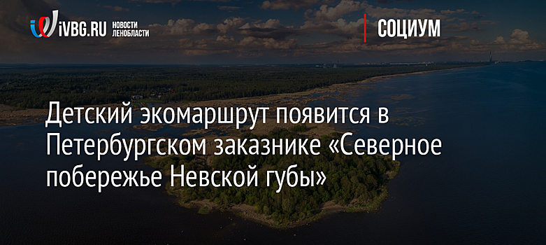 Экотропа для семейных прогулок «У Лукоморья» появится в Петербурге