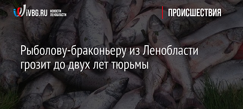 Рыболову-браконьеру из Ленобласти грозит до двух лет тюрьмы