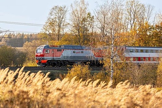 Поезда Москва-Казань перевезли более 164 тыс. человек за 5 месяцев 2025 года