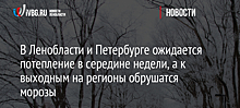 В Ленобласти и Петербурге ожидается потепление в середине недели, а к выходным на регионы обрушатся морозы