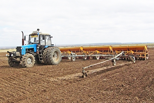 4 млн тонн зерна планируют собрать в Волгоградской области в этом году