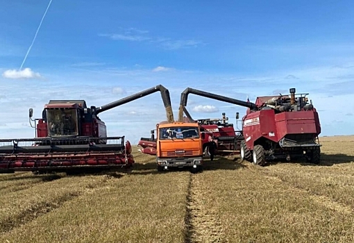 В Омской области компенсировали отставание из-за сильных дождей в уборке урожая