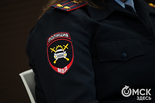 В омской полиции нашли замену уволенному за дебош начальнику