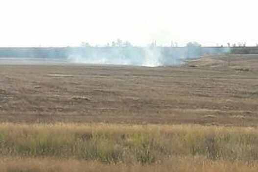 Видео: В Оренбургской области снова горит степь